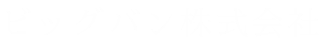 ビッグバン株式会社